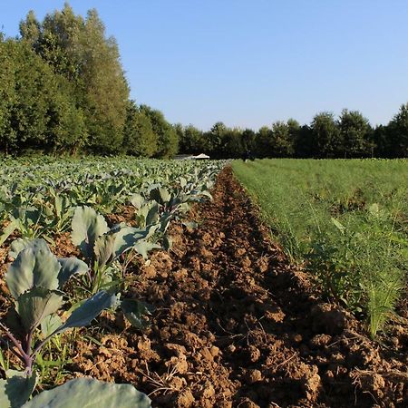 Agriturismo Corte Bertesina Vicenza Zewnętrze zdjęcie